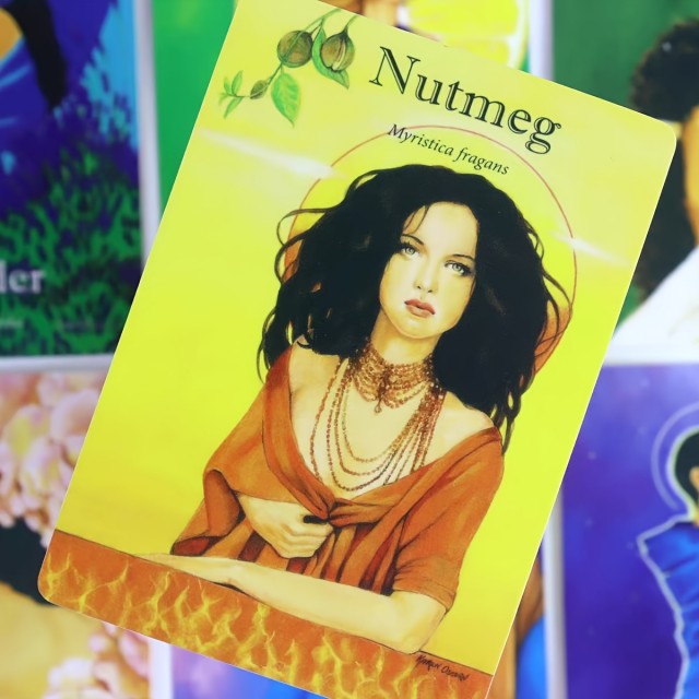 Komplet 42 Kart za Vpogled in Delo z Eteričnimi Olji