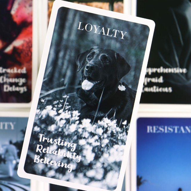 Komplet 78 tarot kart ODPRTO SRCE