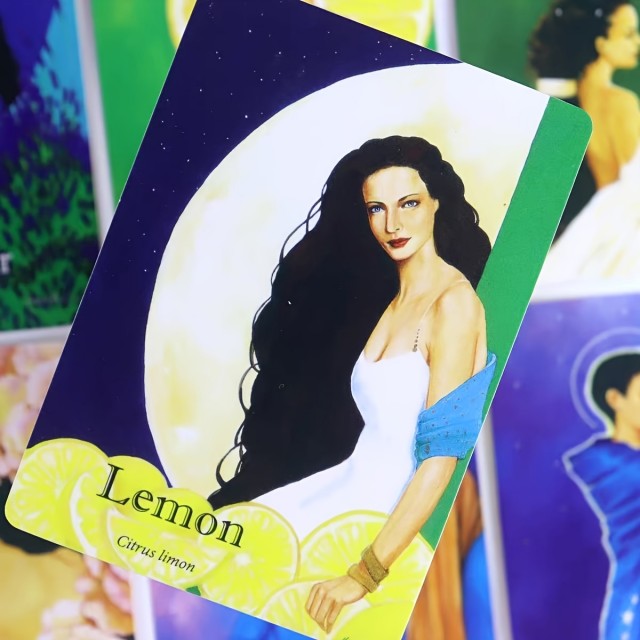 Komplet 42 Kart za Vpogled in Delo z Eteričnimi Olji