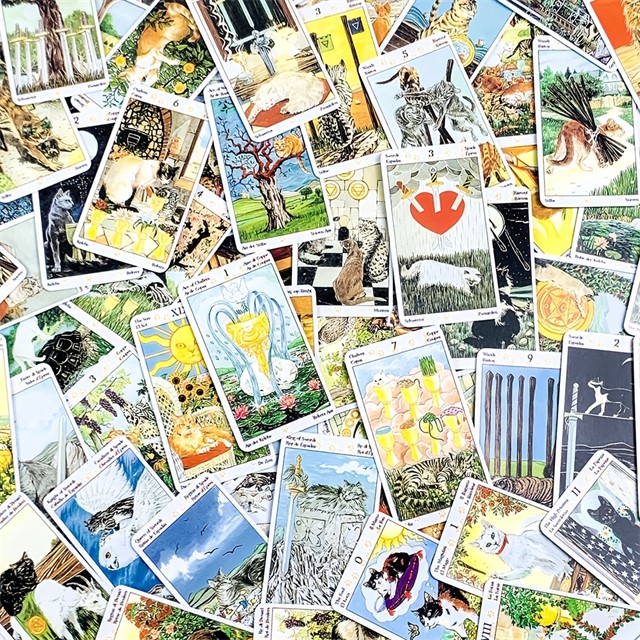 Tarot karte poganskih mačk – 78 kart