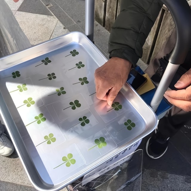 Komplet dveh 4-peresnih deteljic za srečo