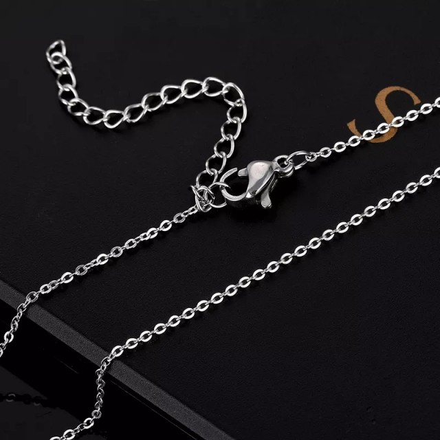 Verižica iz nerjavečega jekla, ZVEZDA SEVERNICA