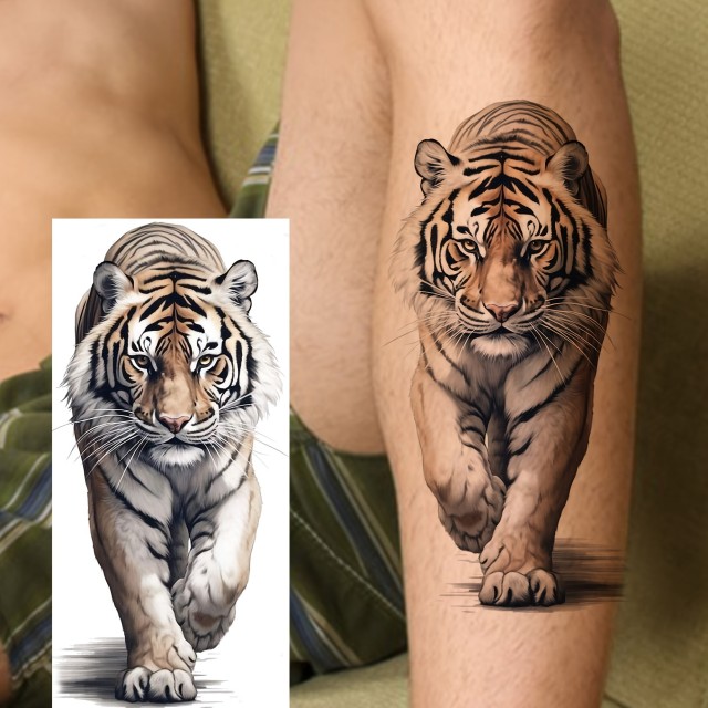 Moška tatoo nalepka z realističnim tigrom