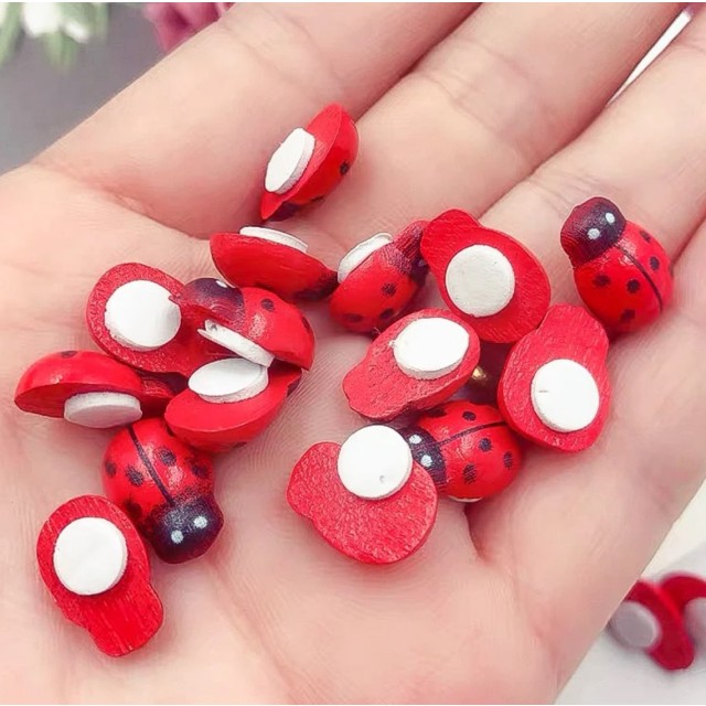 100 kosov lesenih mini pikapolonic, samolepilne