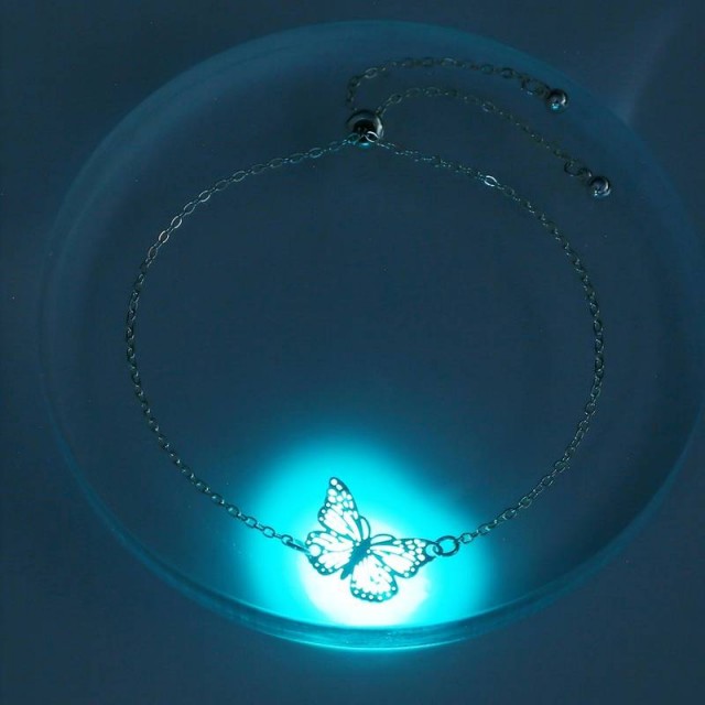 Zapestnica metuljček, sveti v temi