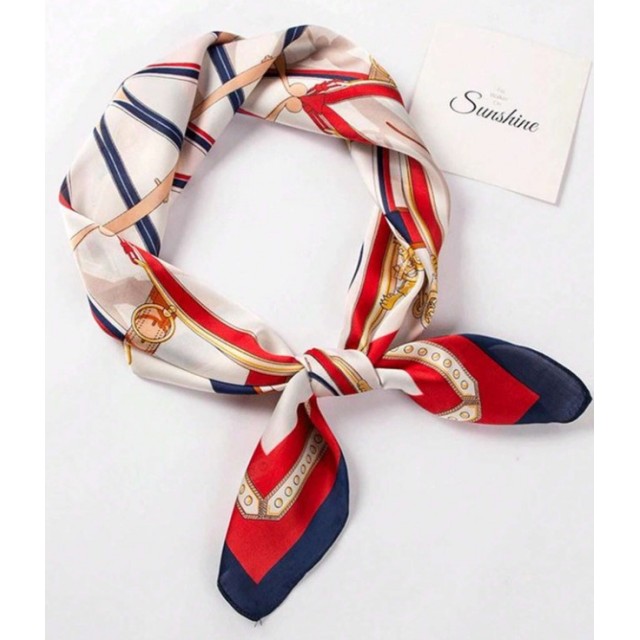 Elegantna kvadratna ruta z rdeče-modrim verižnim vzorcem