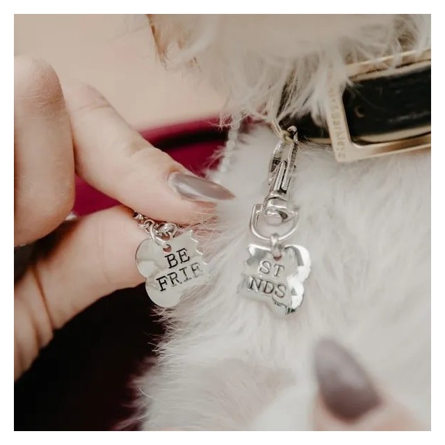 2 delni komplet zate in za kužka verižica in obesek BEST FRIENDS