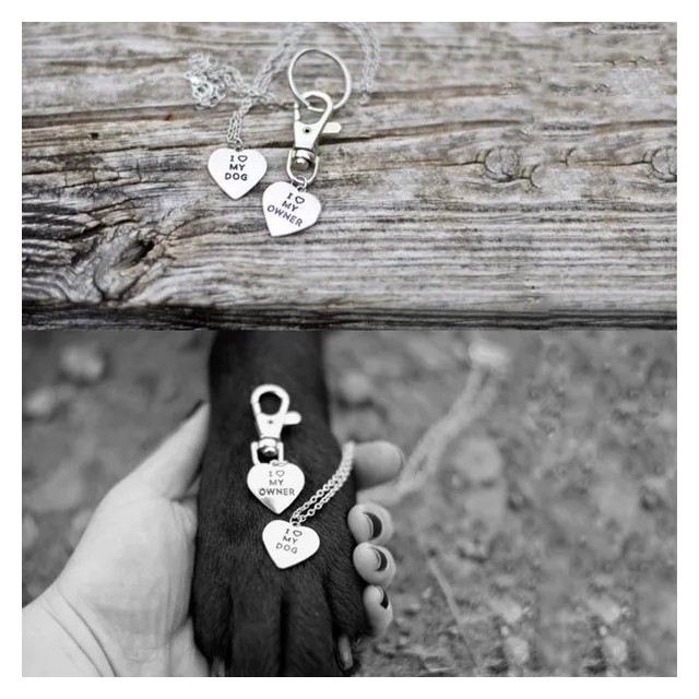 2 delni komplet zate in za kužka verižica in obesek BEST FRIENDS