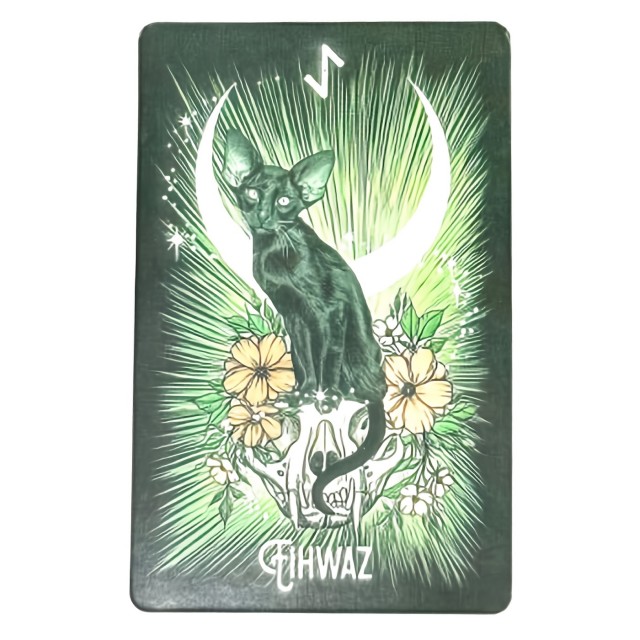 Komplet orakeljskih kart runski orakelj