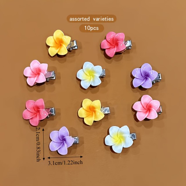 10 kosov pisanih cvetličnih lasnic 