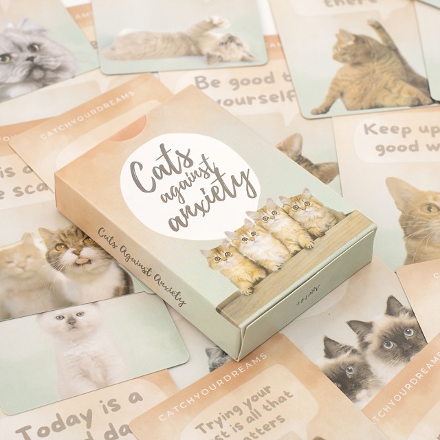 Komplet 50 kartic z mucami za lajšanje stresa