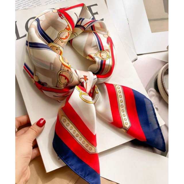 Elegantna kvadratna ruta z rdeče-modrim verižnim vzorcem