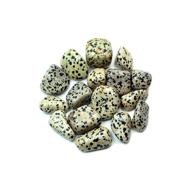 Obesek s poldragim kamnom DALMATIAN JASPER (Dalmatinski Jasper)