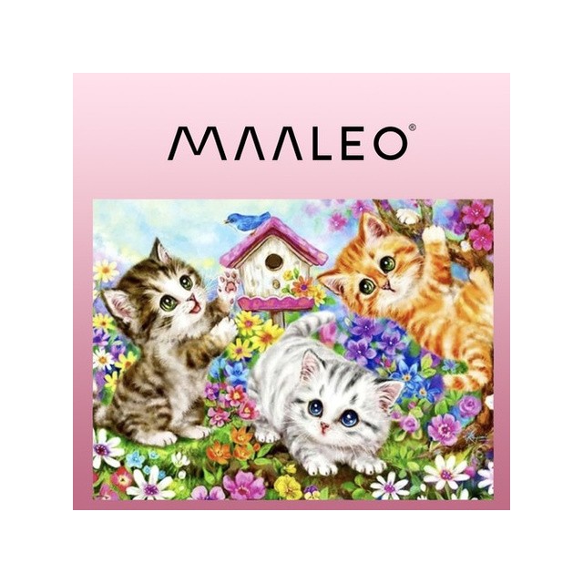 Slikanje po številkah – Mucke v vrtu (40×50 cm)